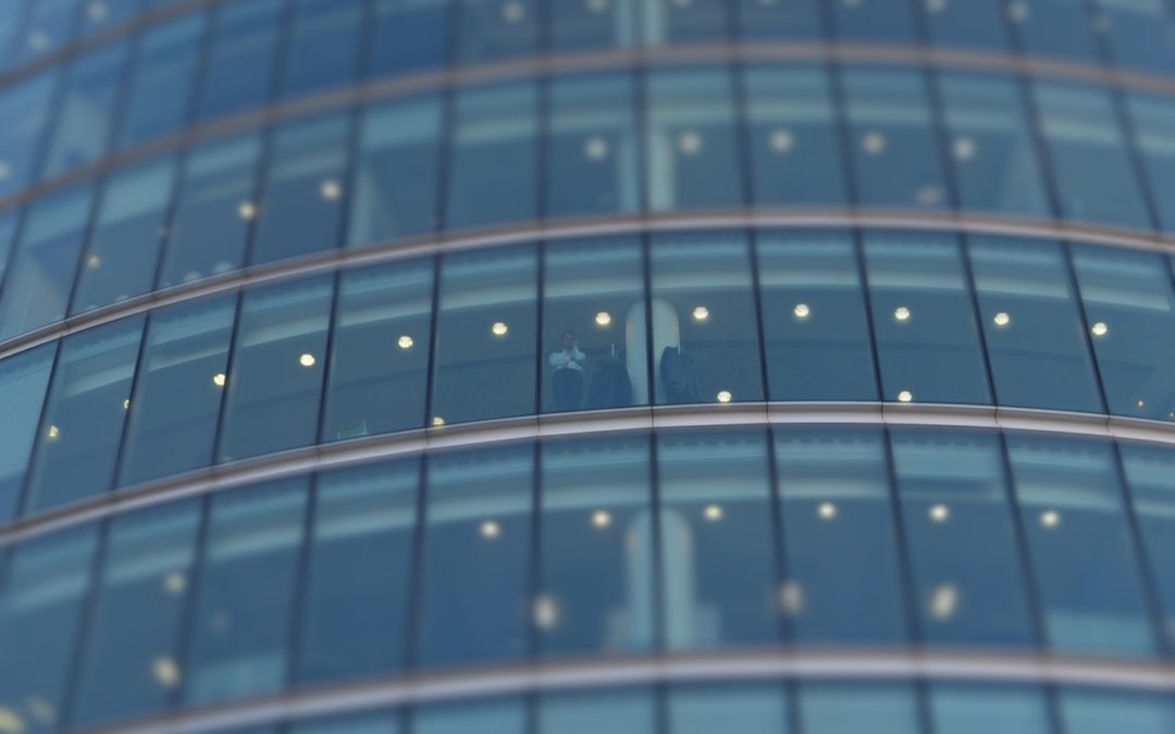 Tax structuring with Dutch private limited liability companies – shareholders’ rights